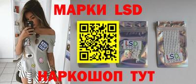 гашик Моздок
