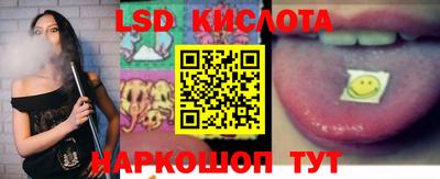 гашик Моздок