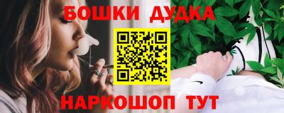 гашик Моздок