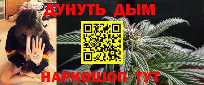 гашик Моздок